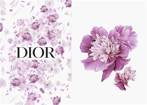 dior womens day|christian Dior women's.